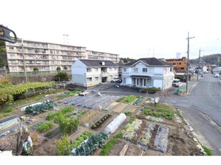 三郷駅 徒歩10分 2階の物件内観写真